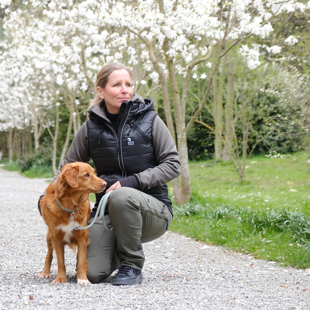 DogCoach Gepolsterte Dog Walker Weste SCHWARZ