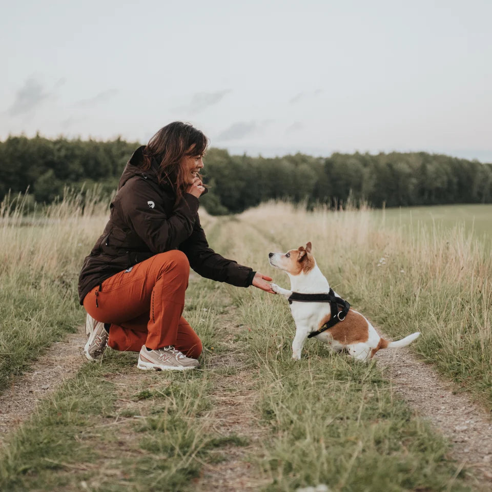 DogCoach Unisex Allround Hose 2.0 Unisex I TAWNEY