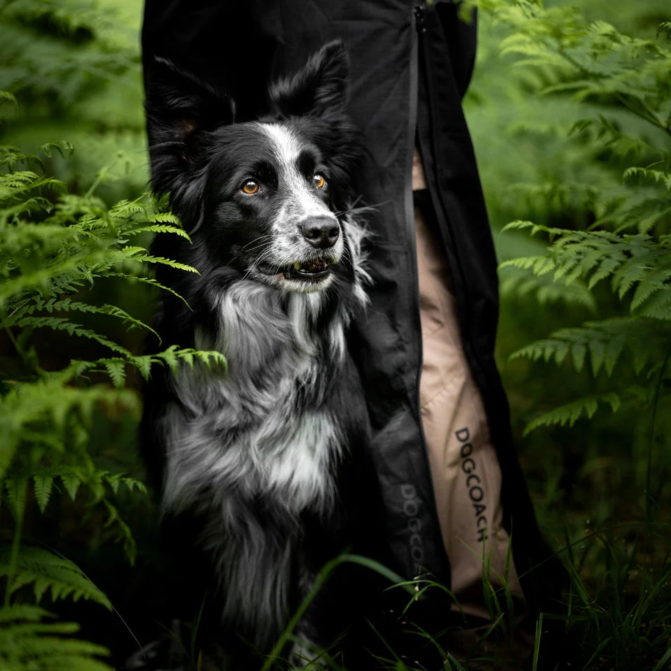 DogCoach Pack&Dry Quick Zip Hose SCHWARZ Herren