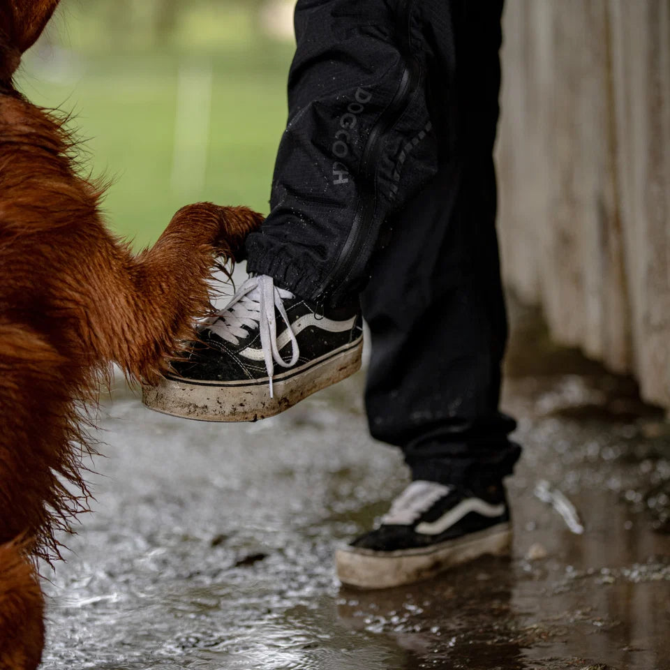 DogCoach Pack&Dry Quick Zip Hose SCHWARZ Herren