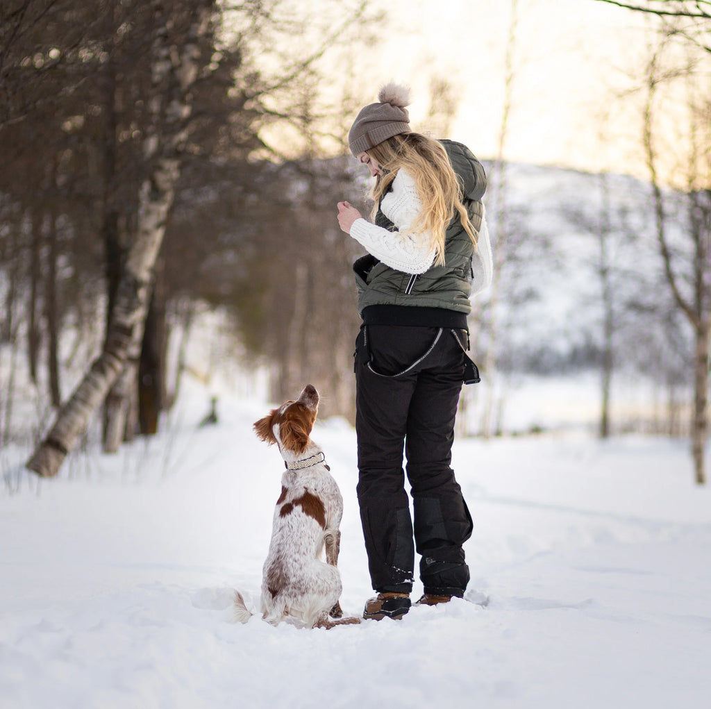 DogCoach Gepolsterte Dog Walker Weste BEETLE
