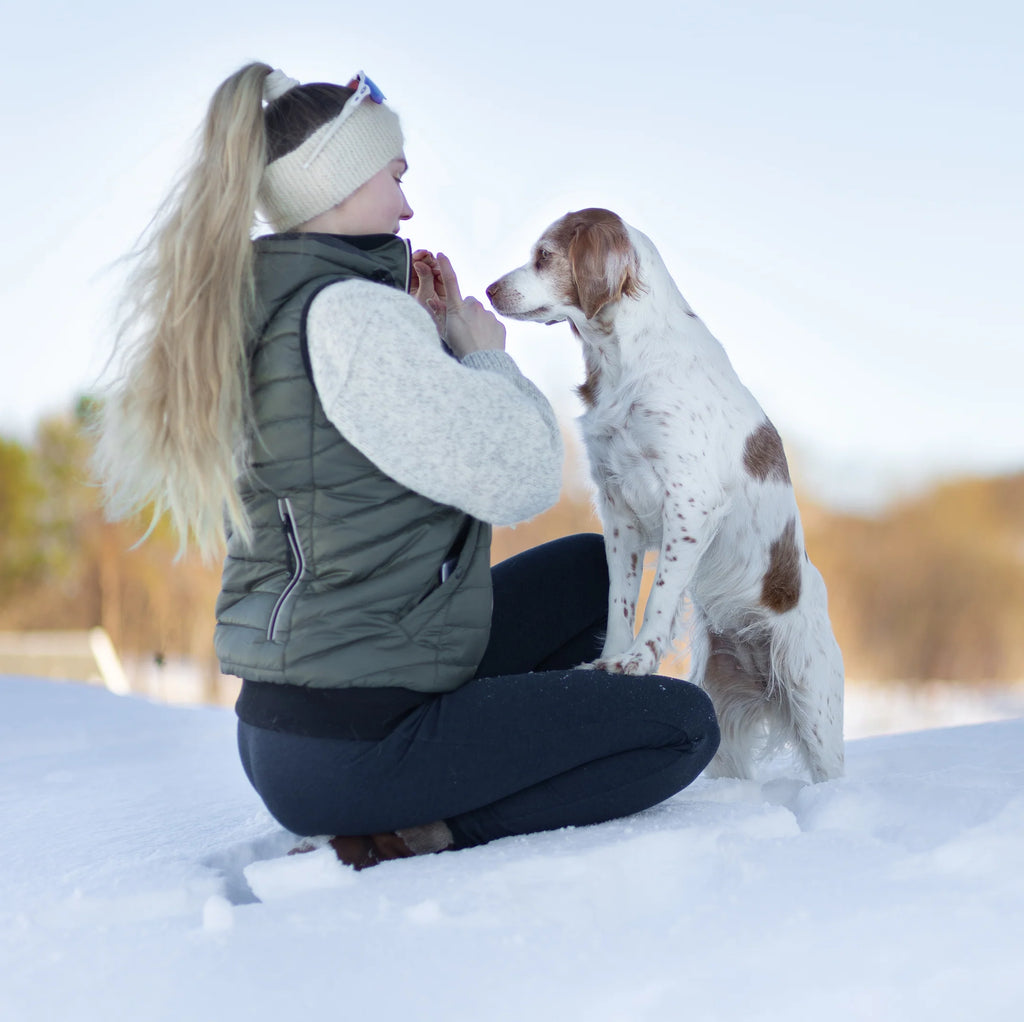DogCoach Gepolsterte Dog Walker Weste BEETLE