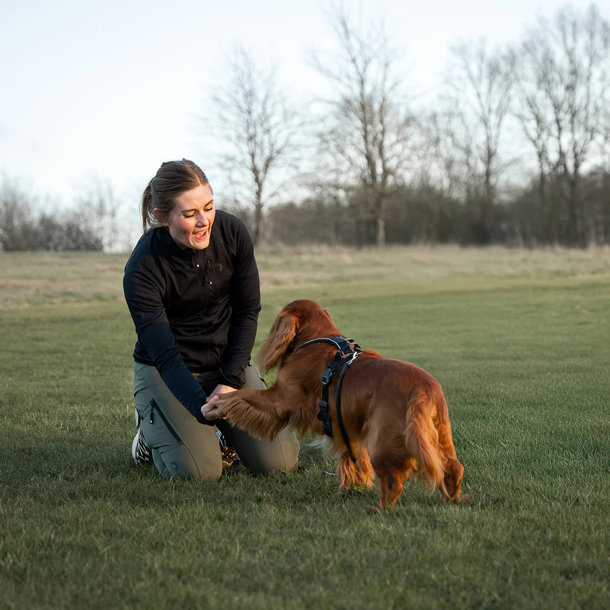DogCoach FeelFree Dog Walker Tights | Beetle | Dakota