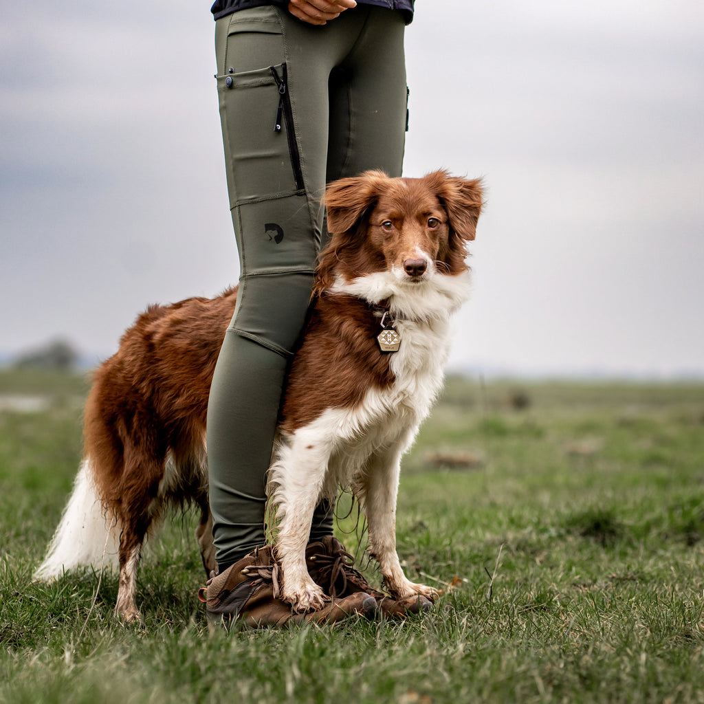 DogCoach FeelFree Dog Walker Tights | Beetle | Dakota