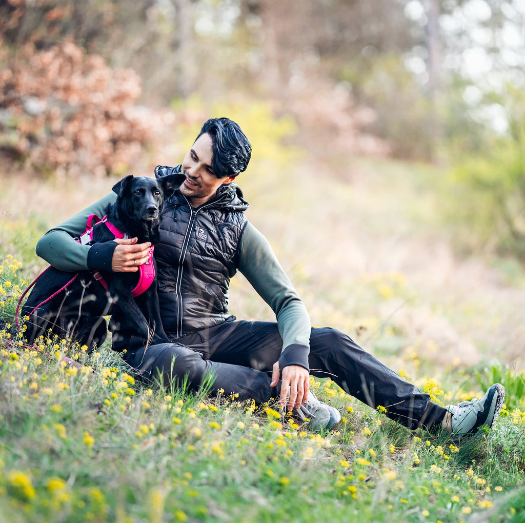 DogCoach Gepolsterte Dog Walker Weste SCHWARZ