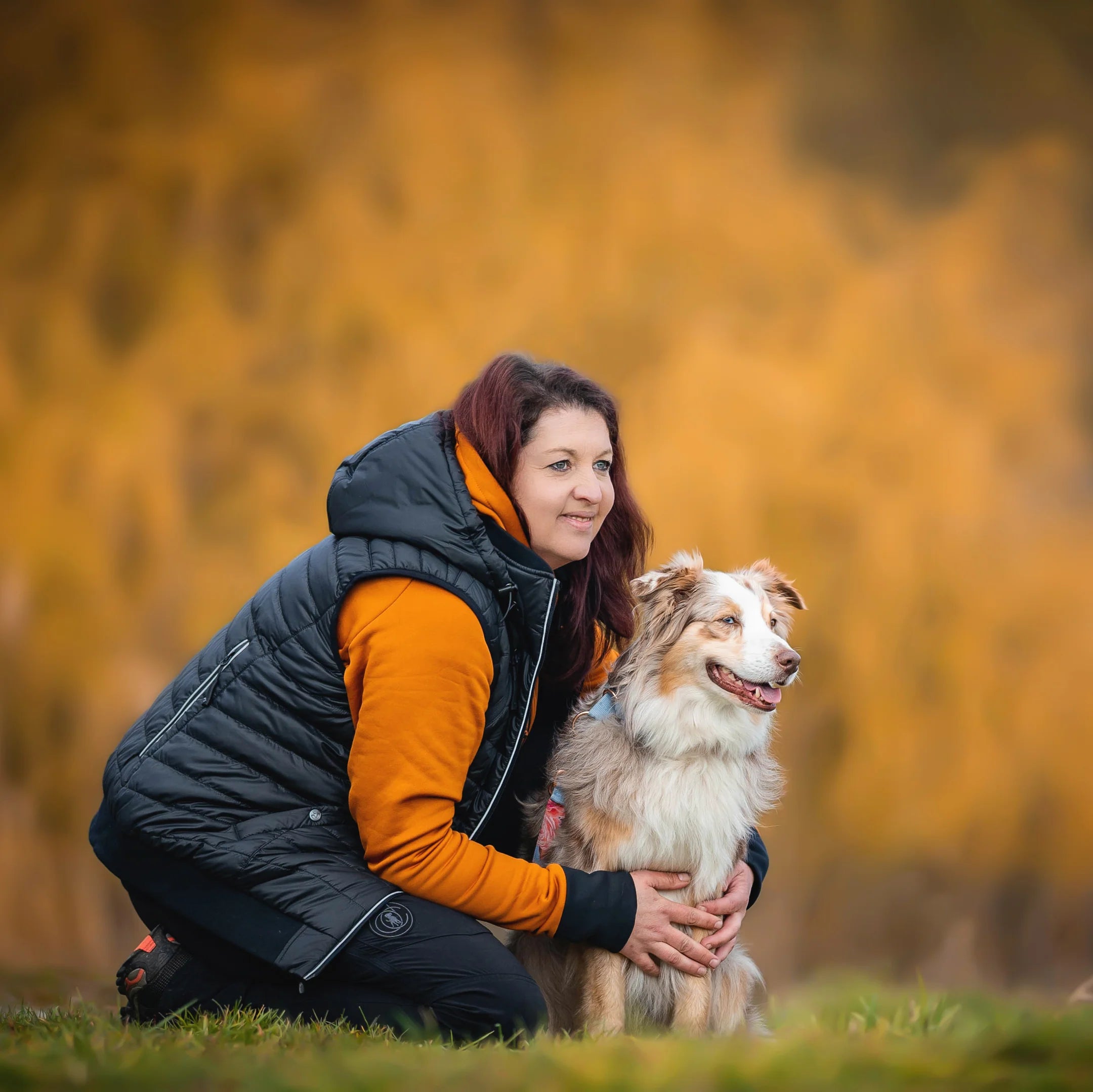 DogCoach Gepolsterte Dog Walker Weste SCHWARZ