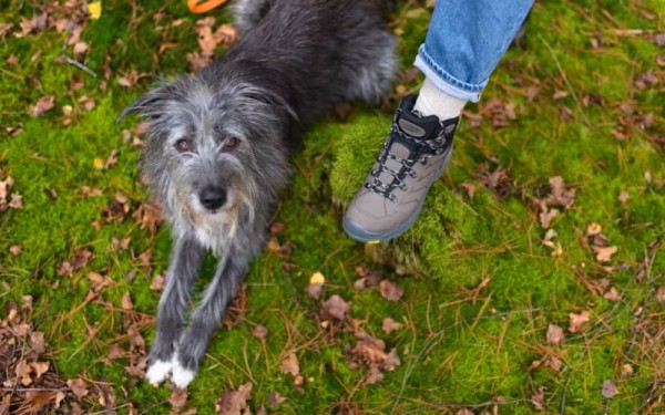DogWalker Amy Glattlederstiefel