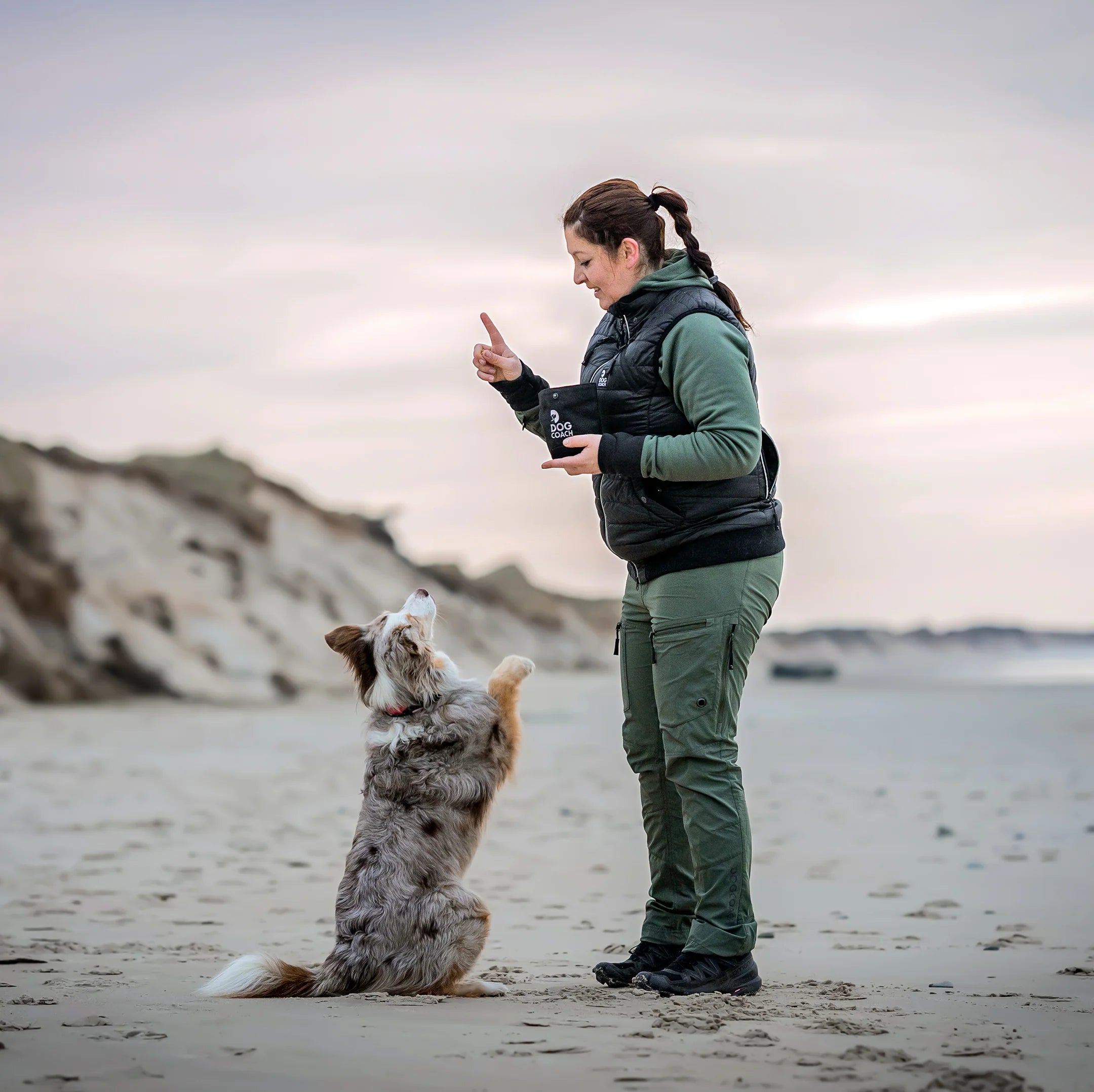 DogCoach Gepolsterte Dog Walker Weste BEETLE