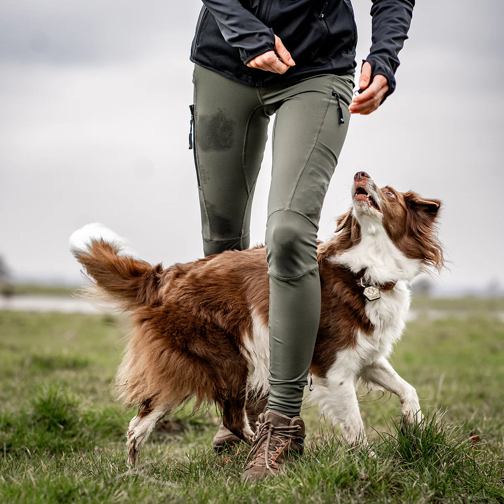 DogCoach FeelFree Dog Walker Tights | Beetle | Dakota