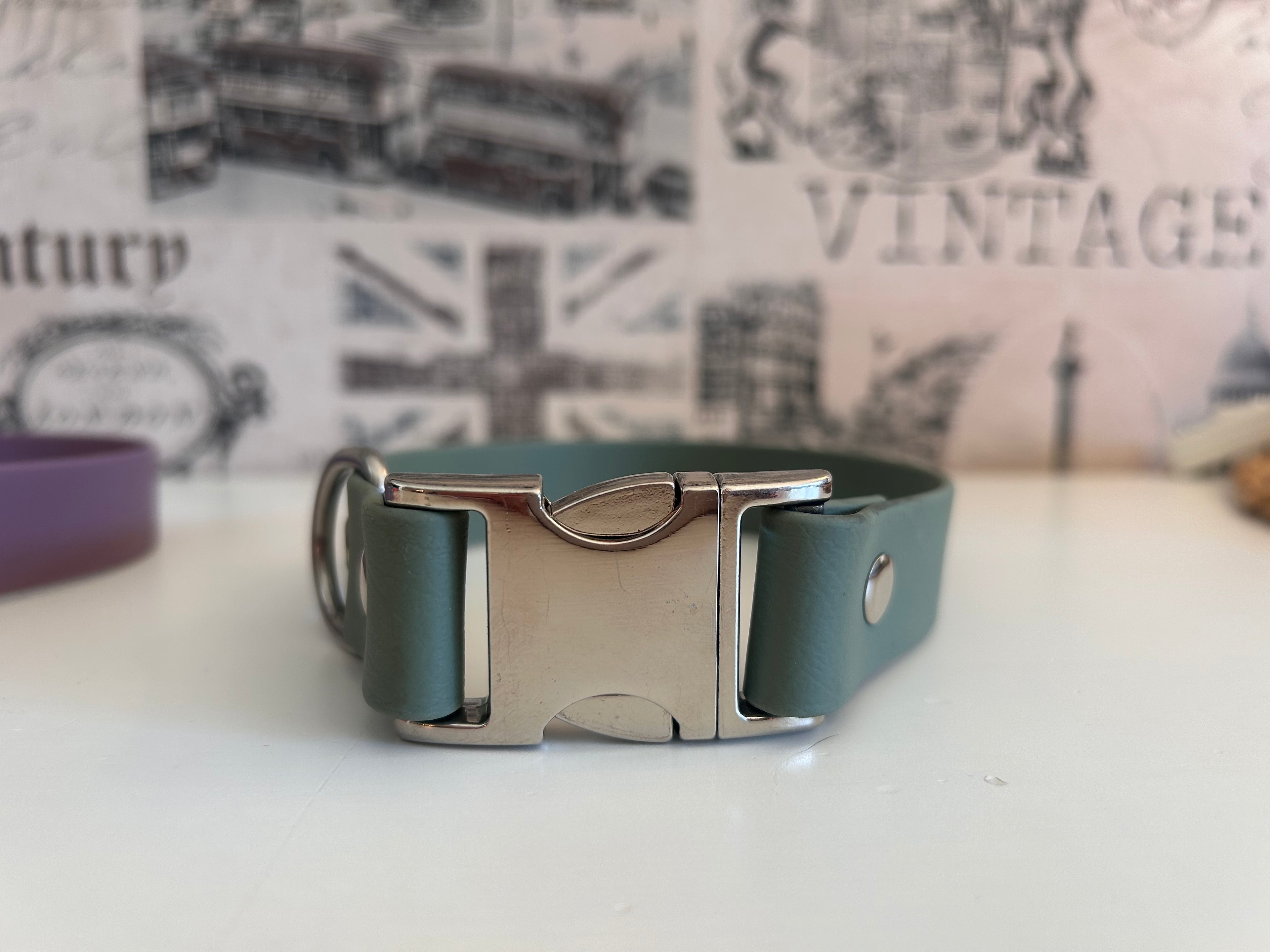 SPOT & RUST Halsband aus Biothane®