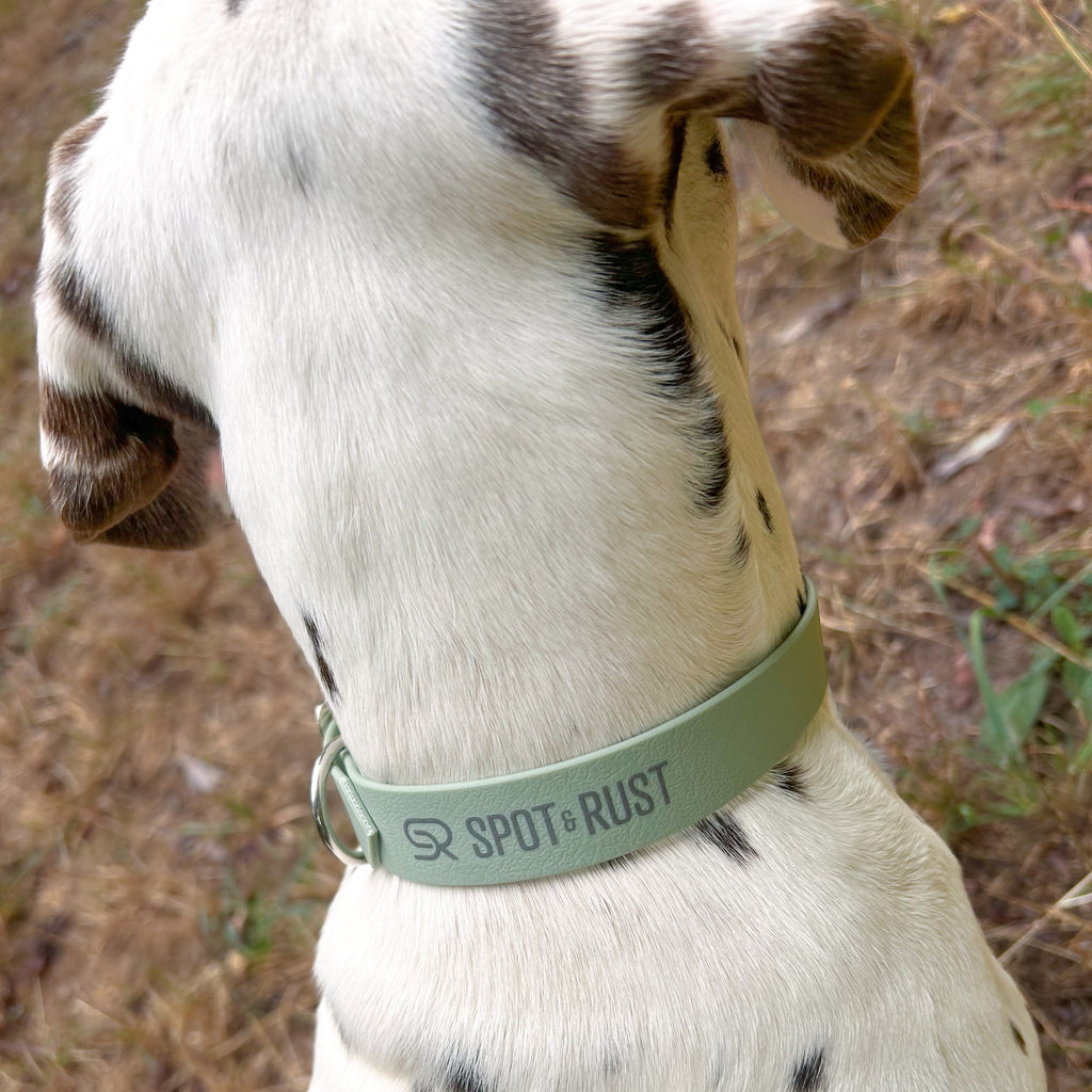 SPOT & RUST Halsband aus PawTex®