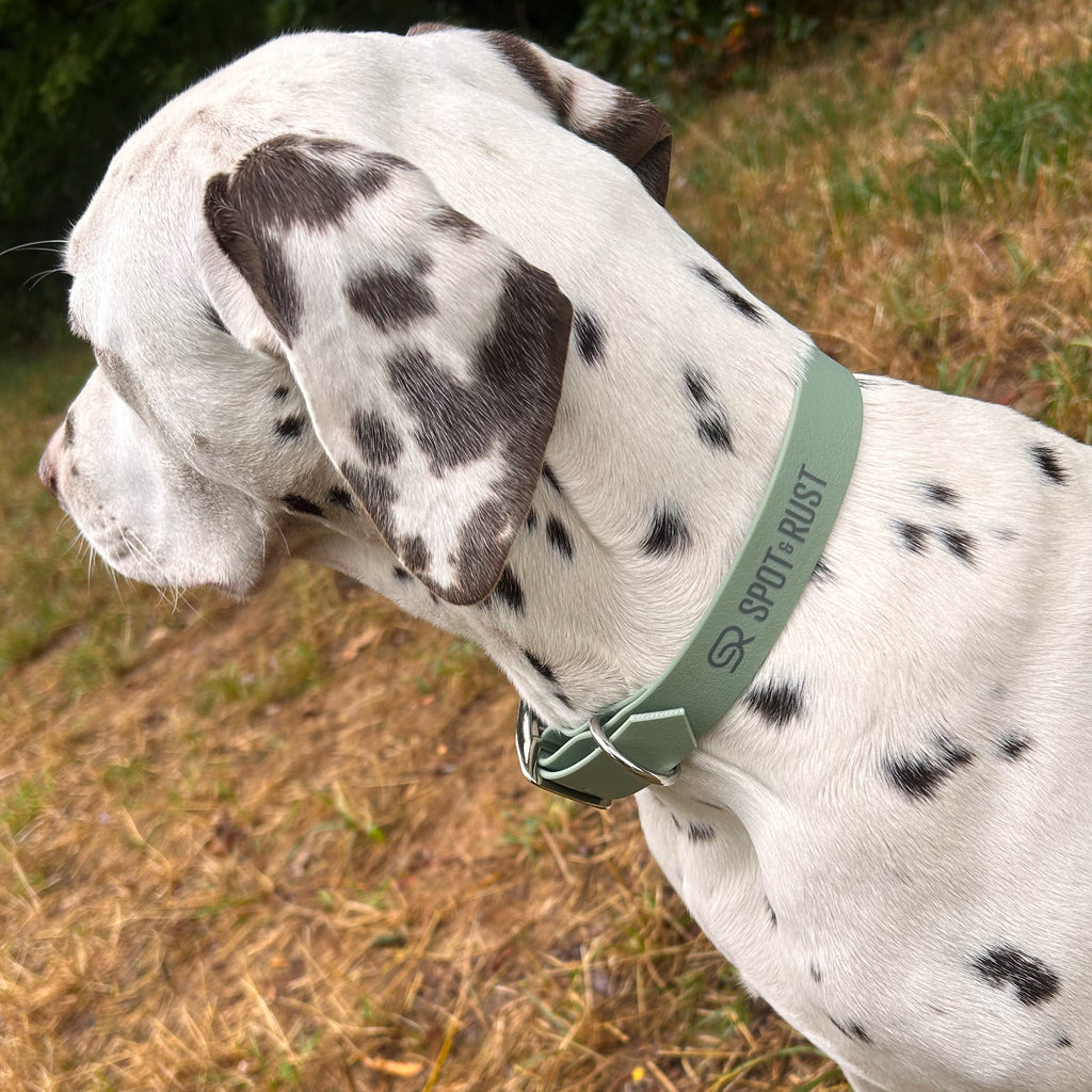 SPOT & RUST Halsband aus PawTex®