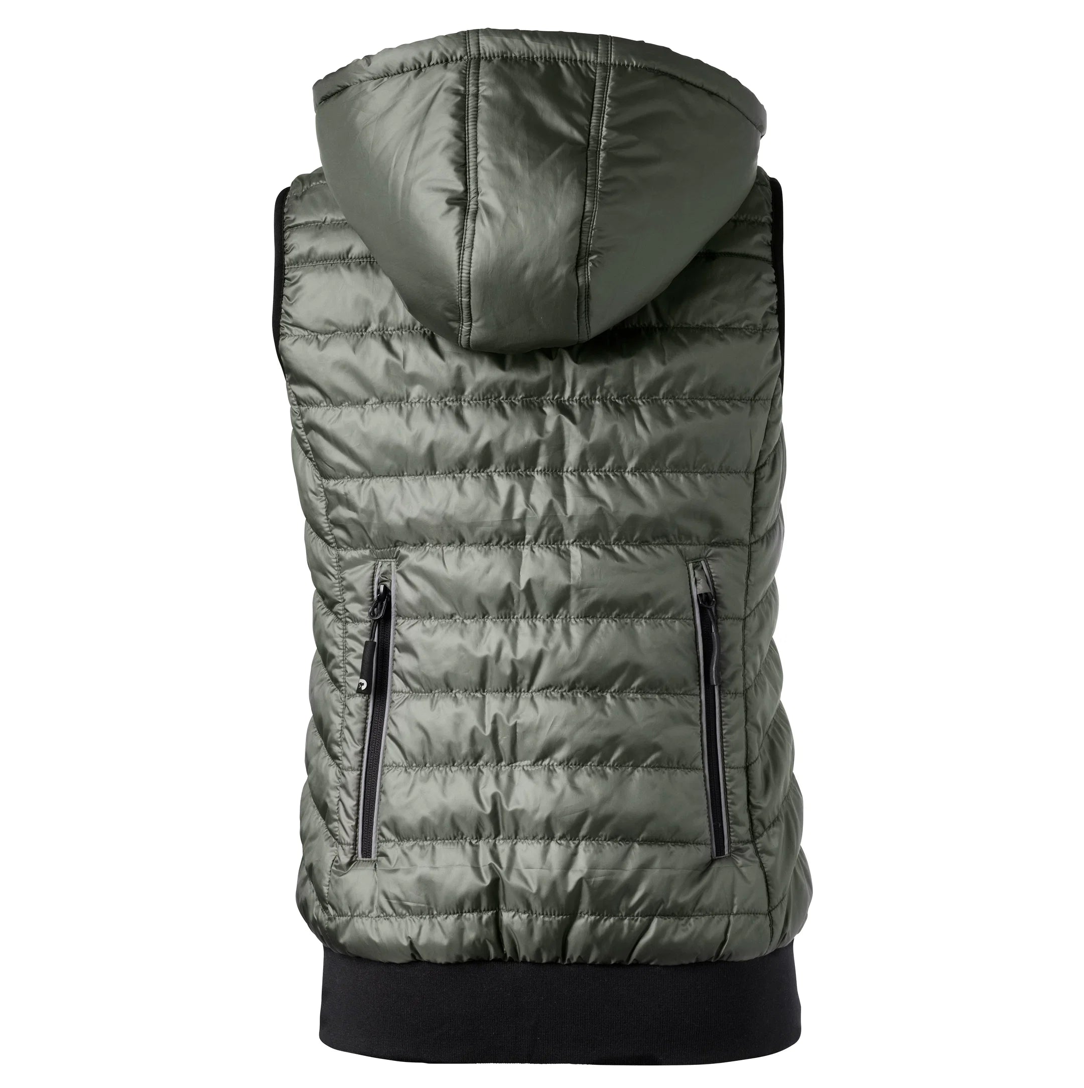 DogCoach Gepolsterte Dog Walker Weste BEETLE