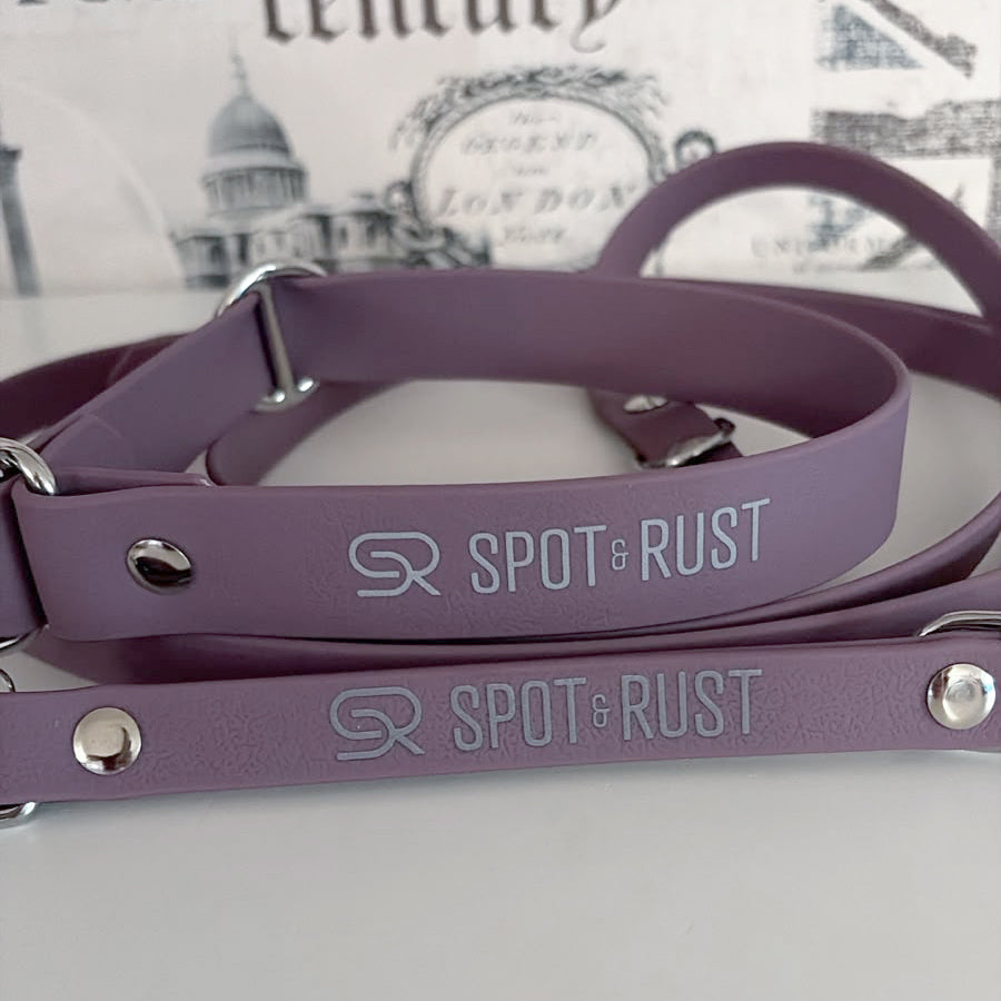SPOT & RUST PawTex® Leine mit Halsband -SET-
