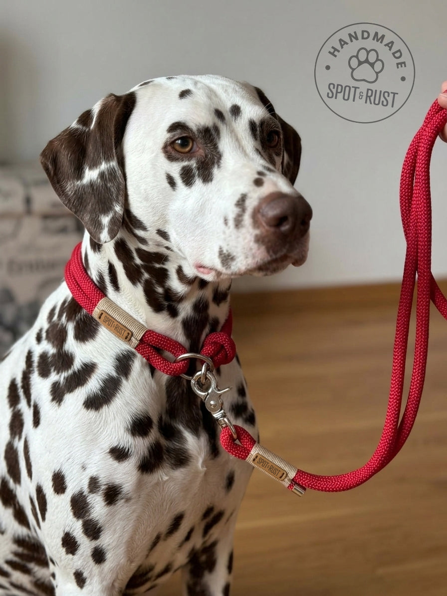 SPOT & RUST Tauleine mit Halsband -SET- Velvetrot
