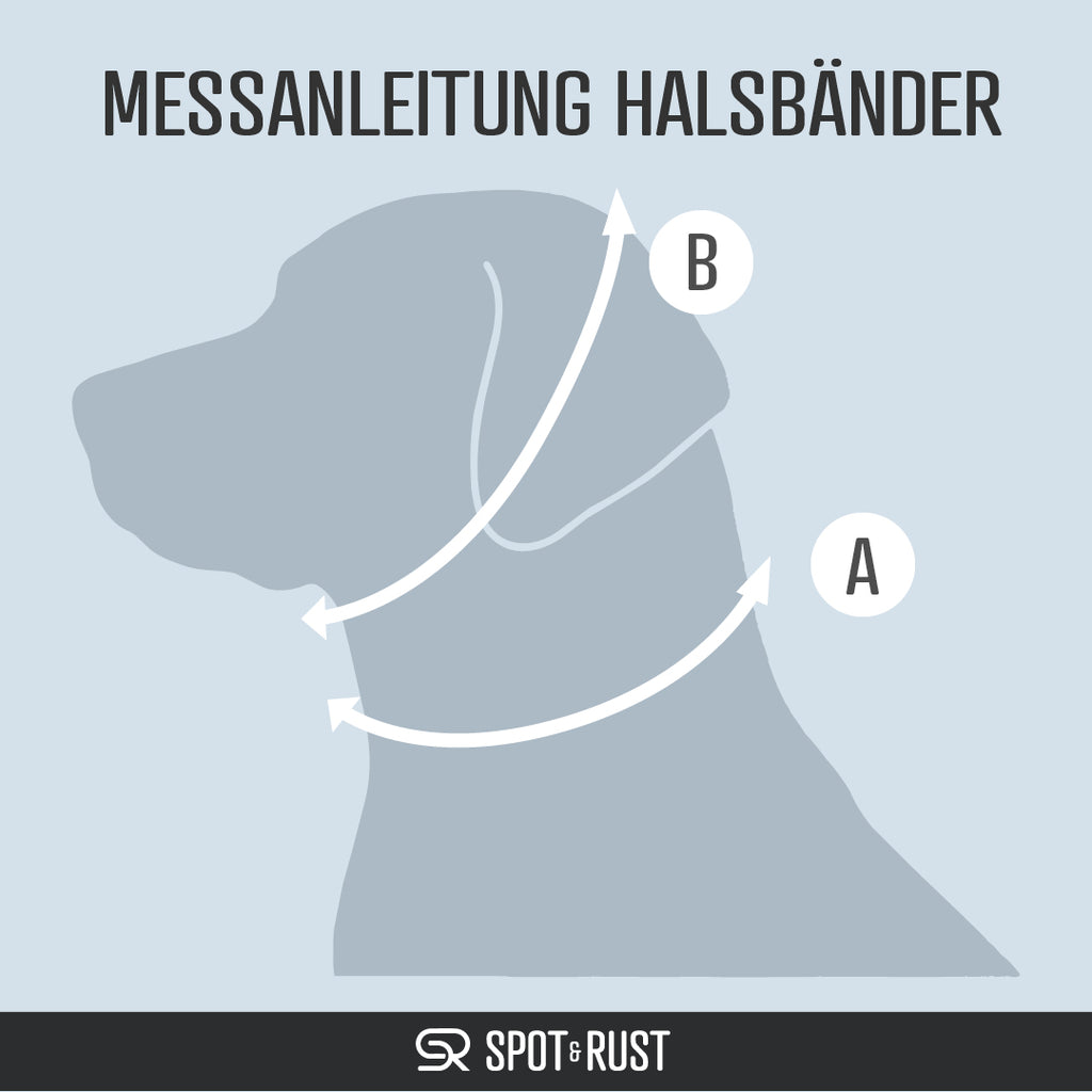 SPOT & RUST Tauleine mit Halsband -SET- Blau
