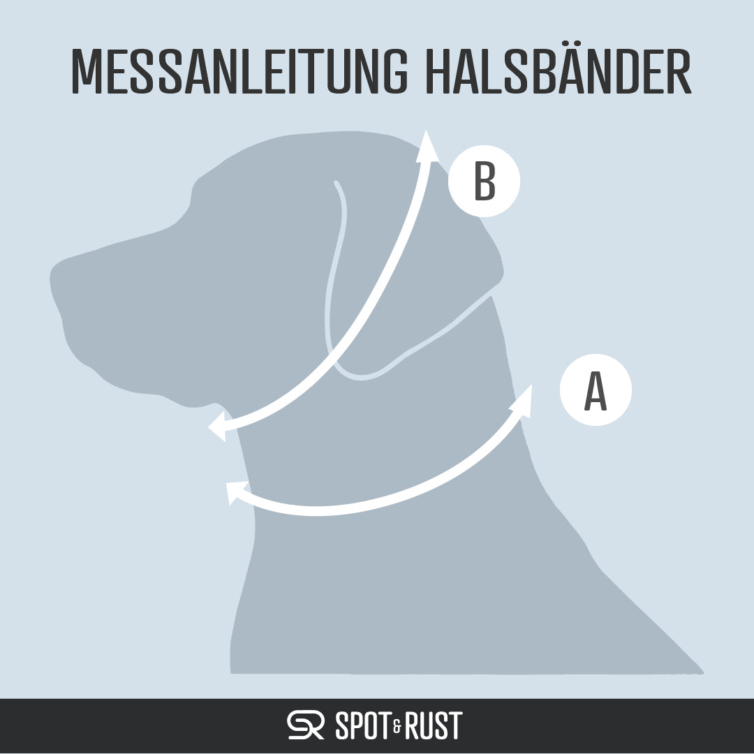 SPOT & RUST Tauleine mit Halsband -SET- Coyote