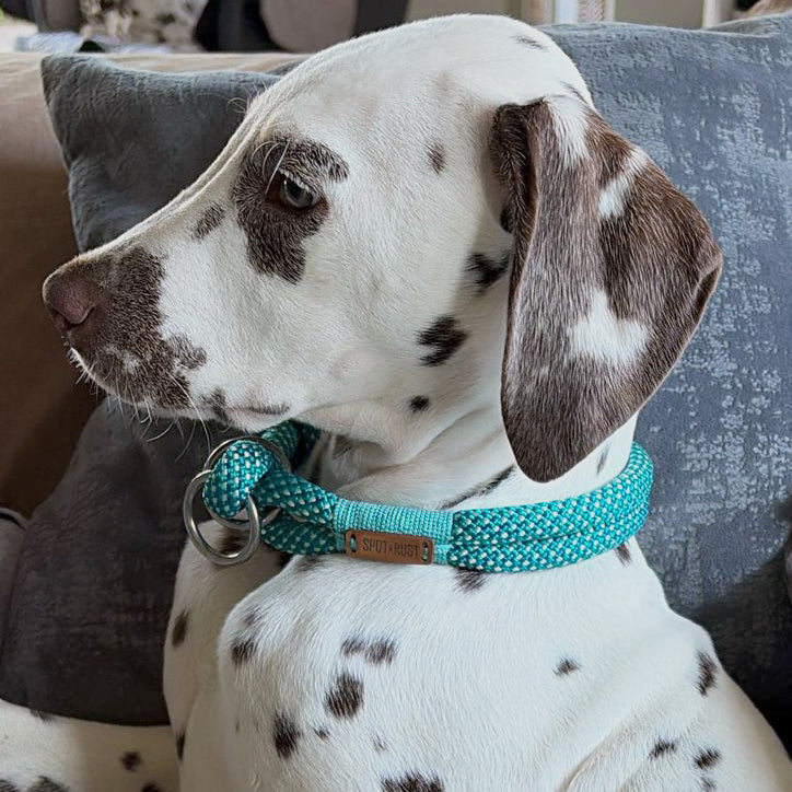SPOT & RUST Halsband aus Tau