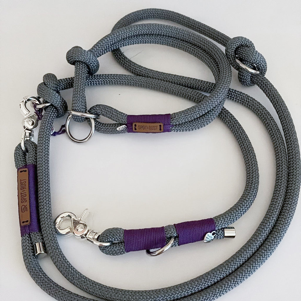 SPOT & RUST Tauleine mit Halsband -SET- Grau mit Wunschtakelung