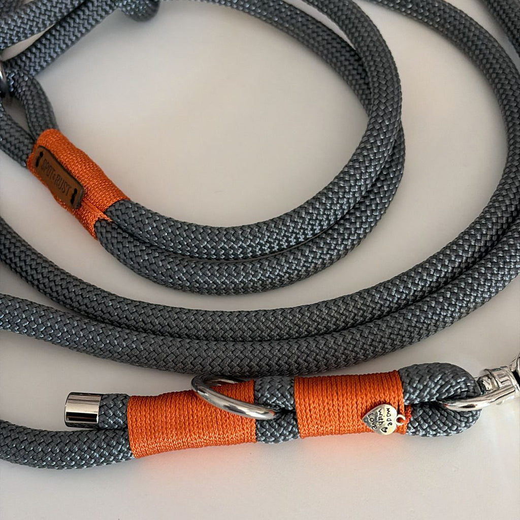 SPOT & RUST Tauleine mit Halsband -SET- Grau mit Wunschtakelung