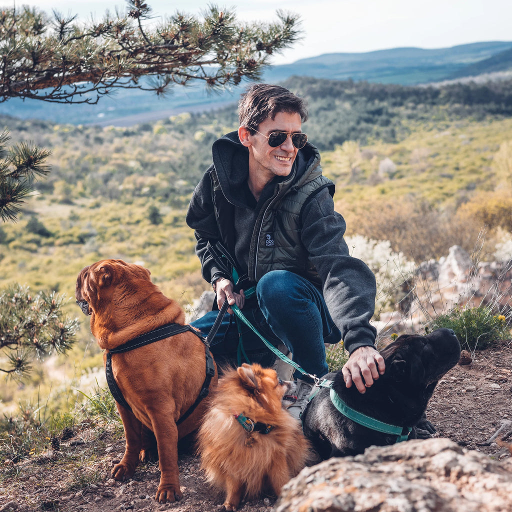 DogCoach Gepolsterte Dog Walker Weste BEETLE