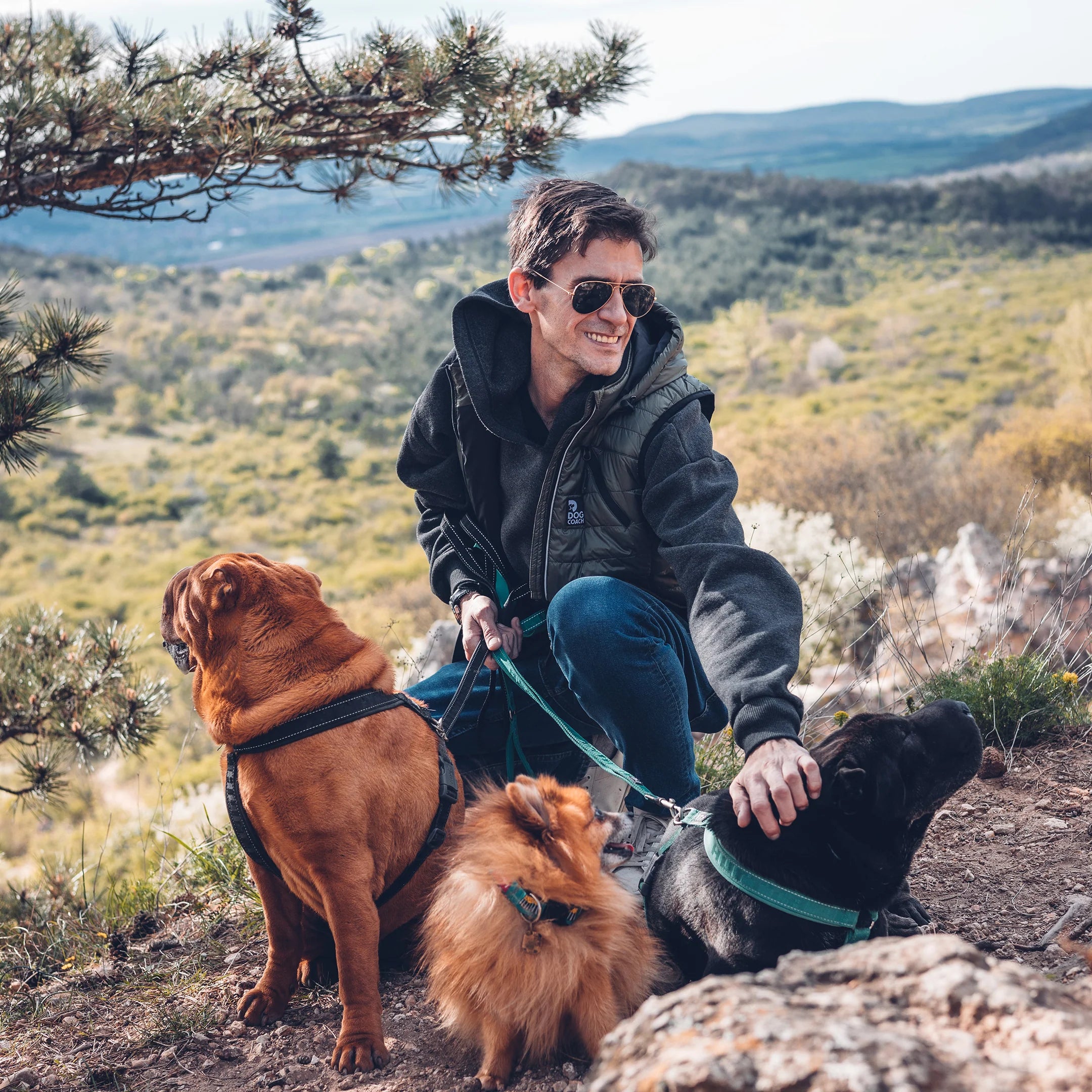DogCoach Gepolsterte Dog Walker Weste BEETLE
