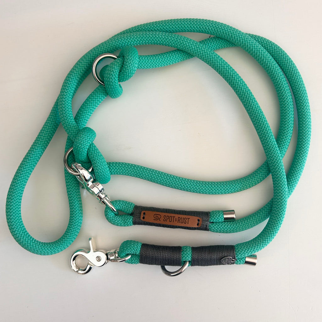 SPOT & RUST Tauleine mit Halsband -SET- Türkies