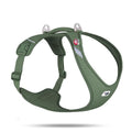 Curli All New Belka Comfort MOSS
