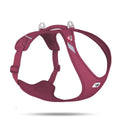 Curli All New Belka Comfort RUBY