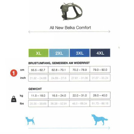 Curli All New Belka ALPINE