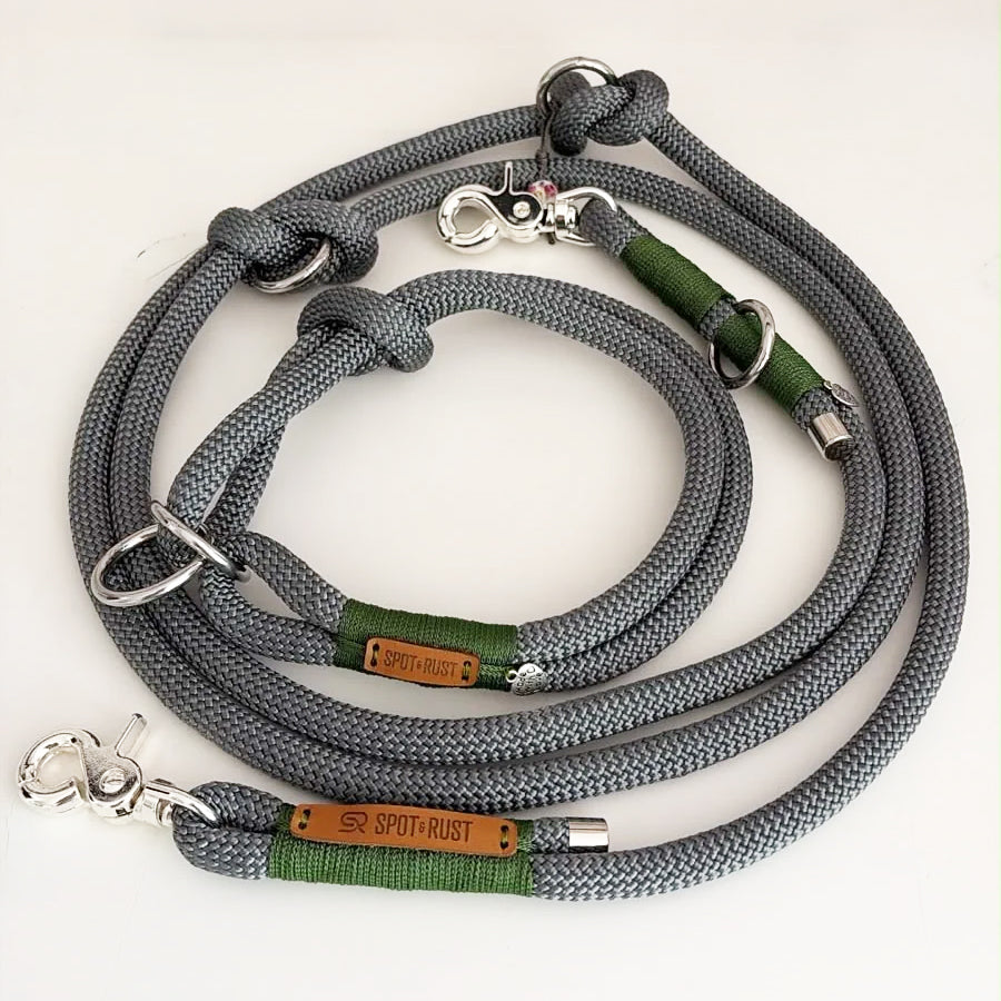 SPOT & RUST Tauleine mit Halsband -SET- Grau mit Wunschtakelung