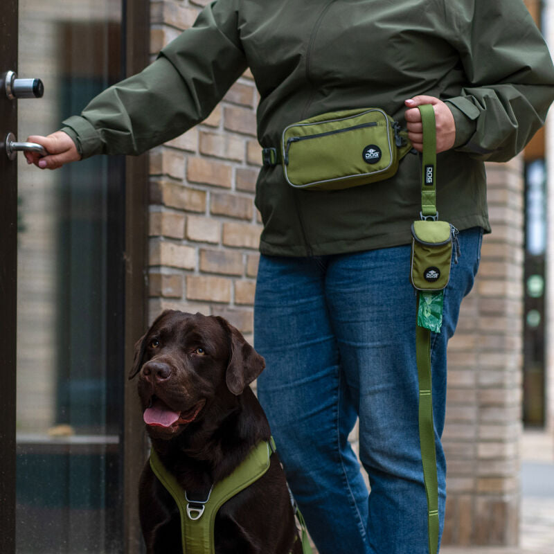 Dog Copenhagen Belt Bag Go Explorer