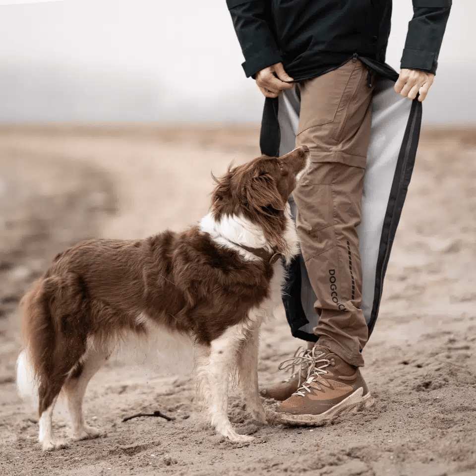 DogCoach Pack&Dry Quick Zip Hose SCHWARZ Damen