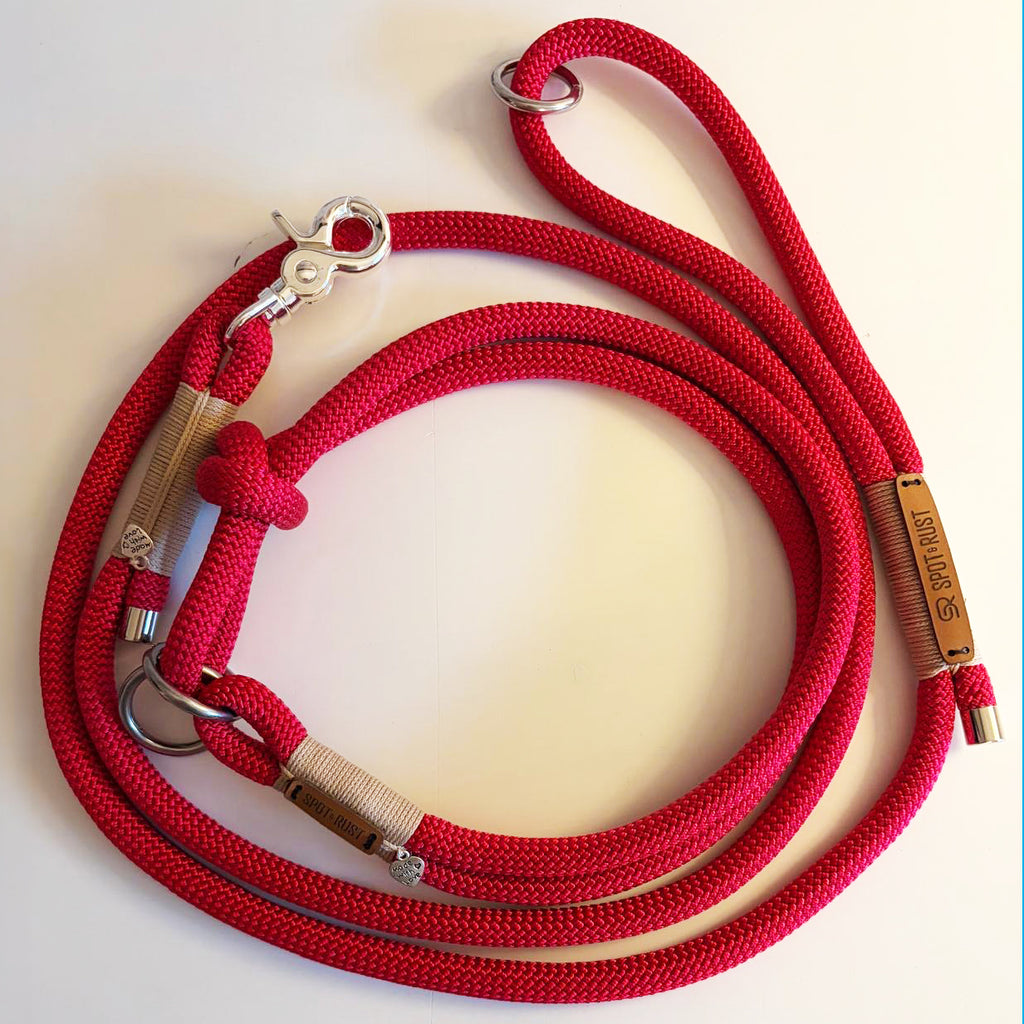 SPOT & RUST Tauleine mit Halsband -SET- Velvetrot