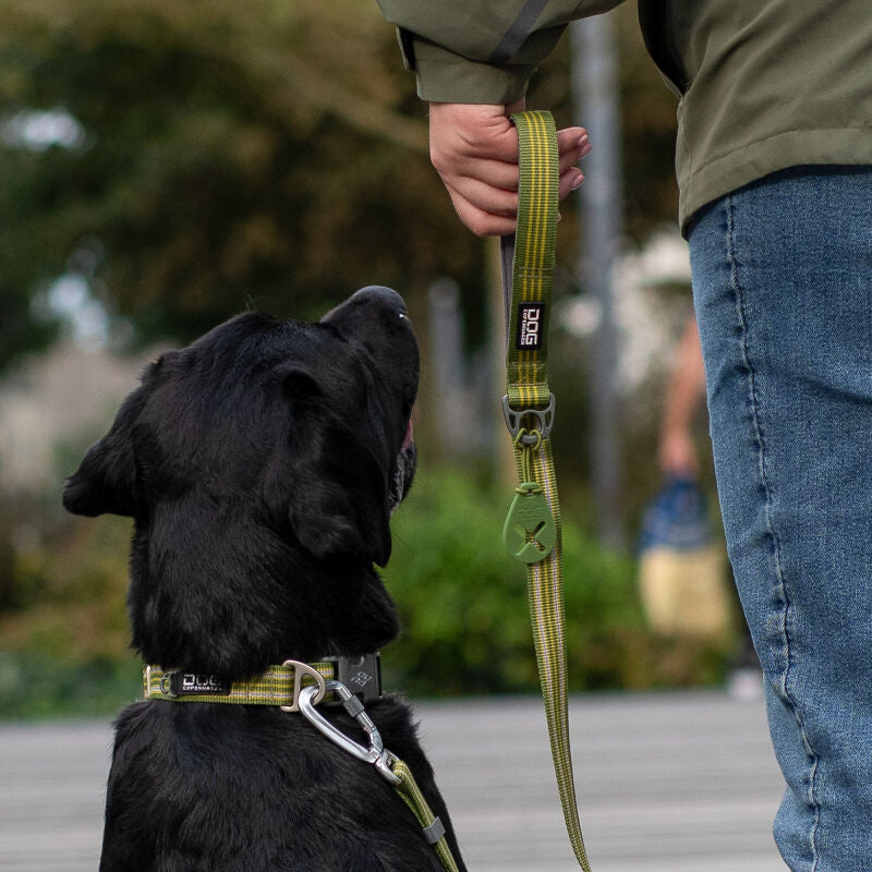 Dog Copenhagen Poop Bag Holder
