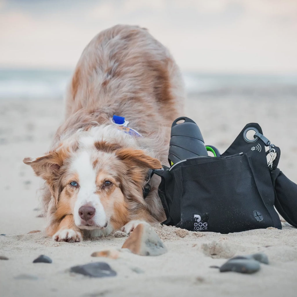 DogCoach Gassitasche 6.0