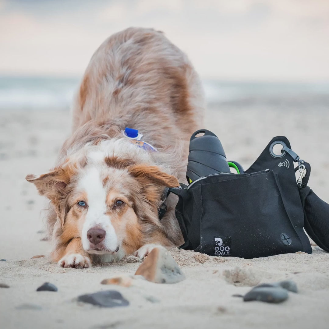 DogCoach Gassitasche 6.0