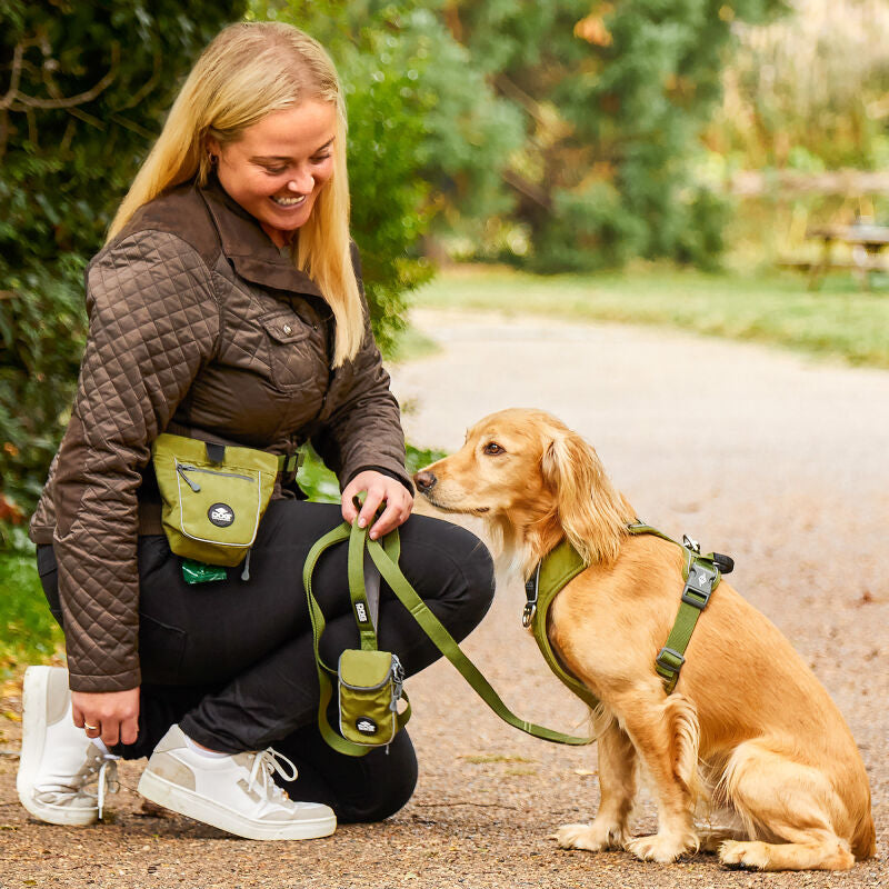 Dog Copenhagen Treat Bag Go Explorer