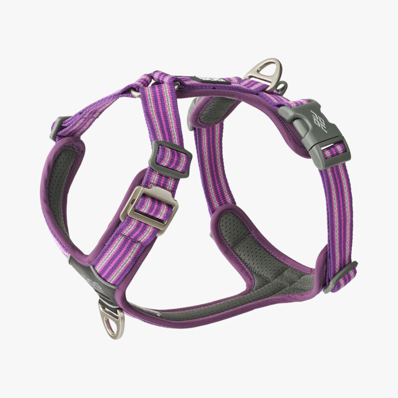 Dog Copenhagen V3 Comfort Walk Air PURPLE PASSION