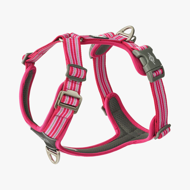 Dog Copenhagen V3 Comfort Walk Air WILD ROSE