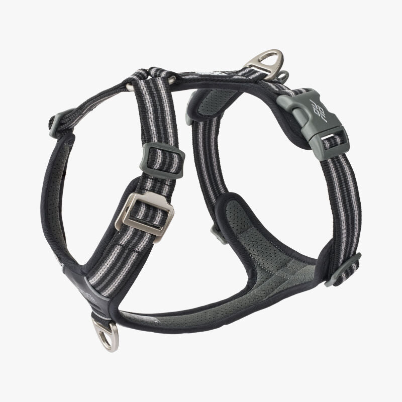 Dog Copenhagen V3 Comfort Walk Air BLACK