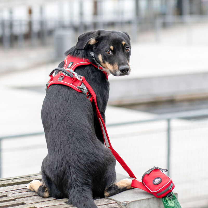Dog Copenhagen V3 Comfort Walk Pro MOCCA