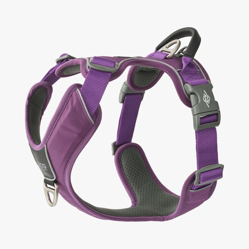 Dog Copenhagen V3 Comfort Walk Pro PURPLE PASSION