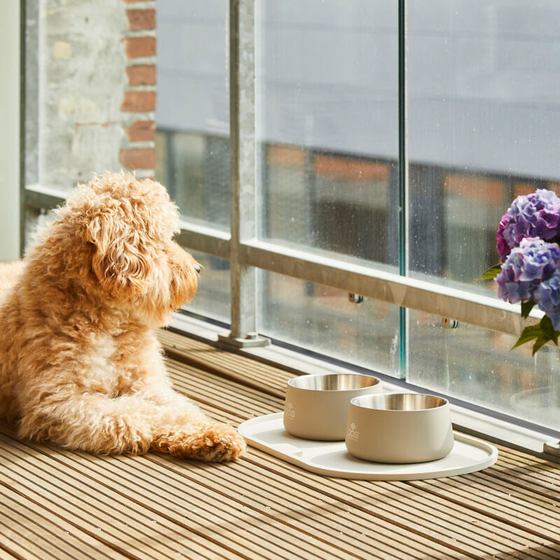Dog Copenhagen Vega Bowl OFF WHITE